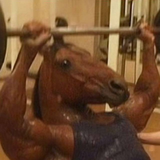 GIGAHORSE
